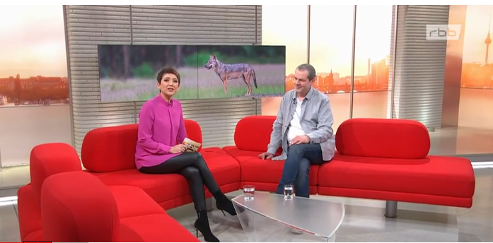 Heiko Anders zu Gast bei « zibb »