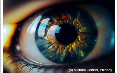 Aus unserem KI-Labor